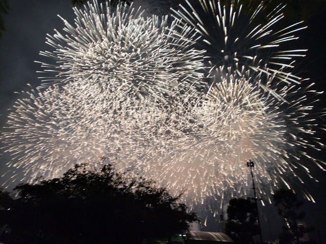 IMG20230805204359_01