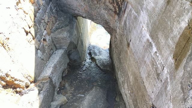 IMG20260323110327