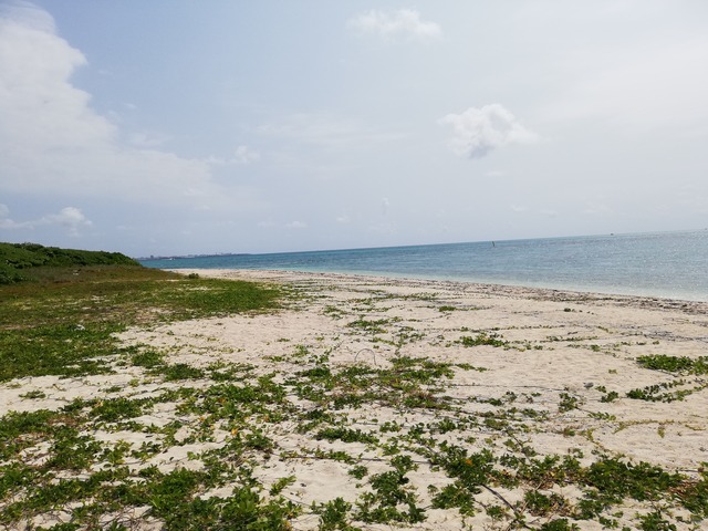 IMG_20210326_111042