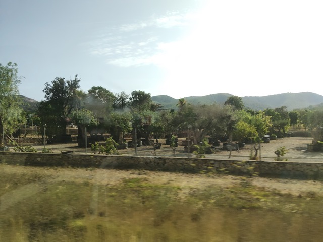 IMG20260714182218