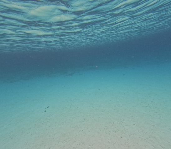 GOPR0006
