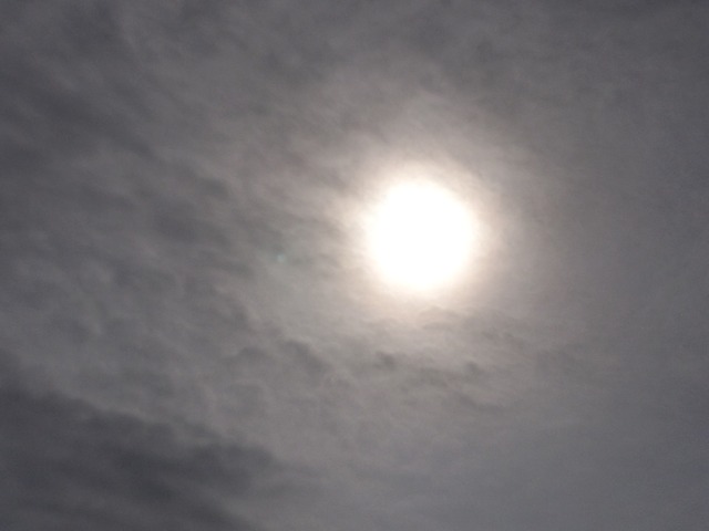 IMG20230521153723