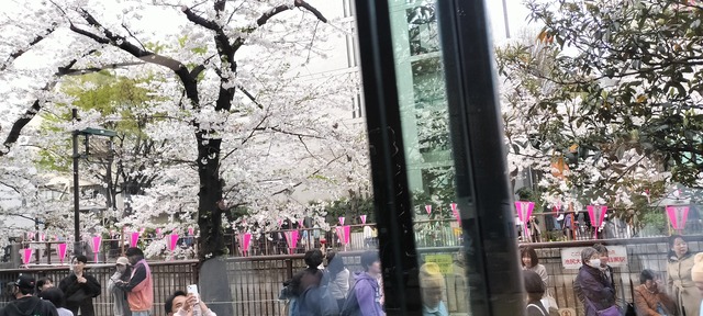 IMG20240406165453_01