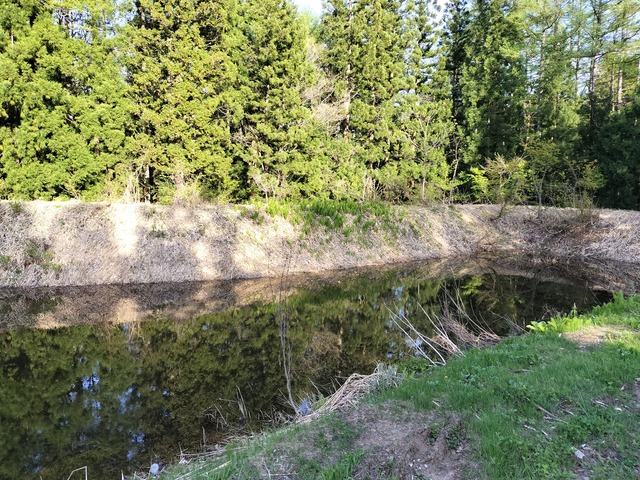IMG20230504162235