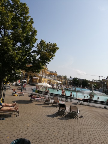 IMG_20190728_092438