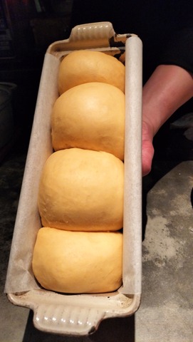 IMG20260112180421_01 2