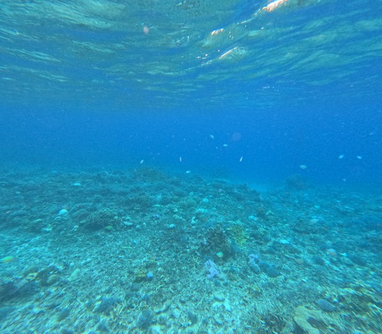 GOPR0023