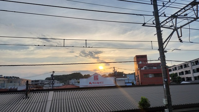 IMG20240811175417