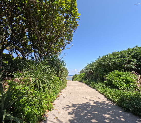 GOPR0621