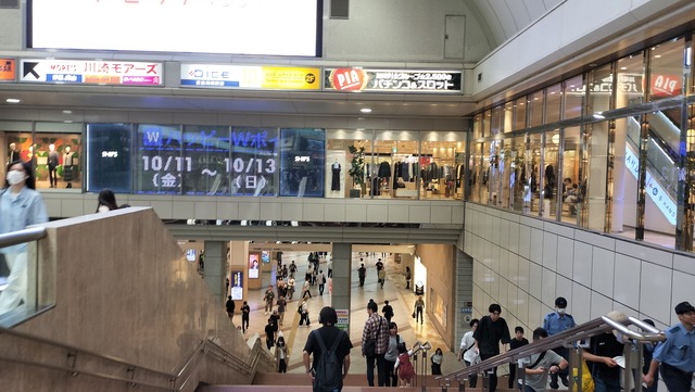 IMG20241006145936