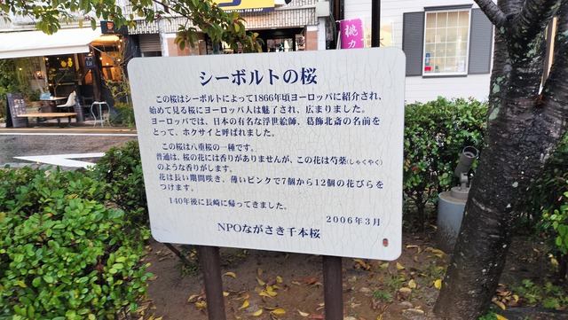 IMG20260322172553