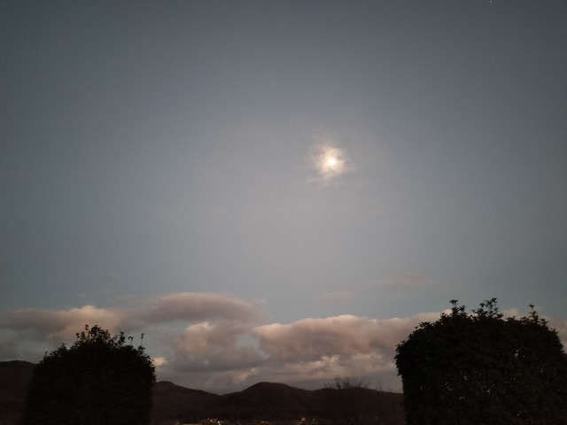 IMG20231224165305