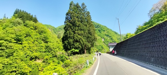 IMG20240504140953