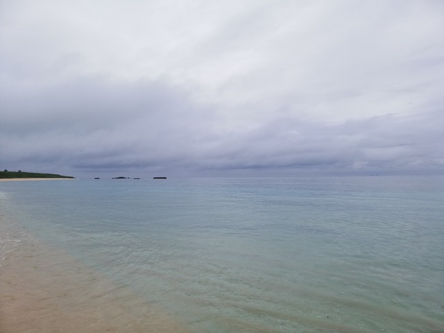 IMG_20210324_103536