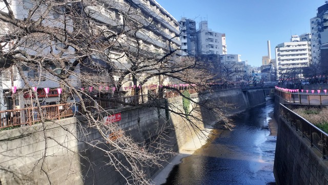 IMG20260314145811