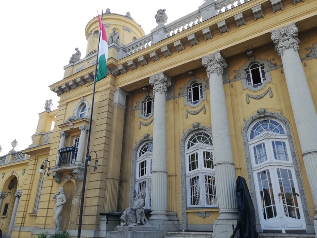 IMG_20190728_085827