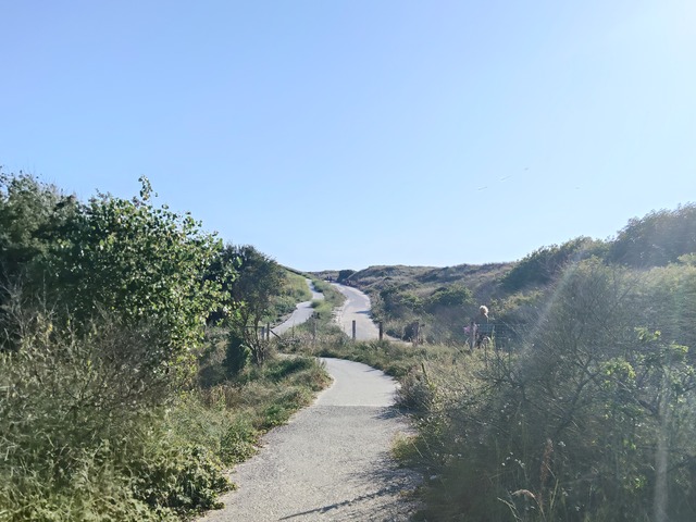 IMG20260711184926