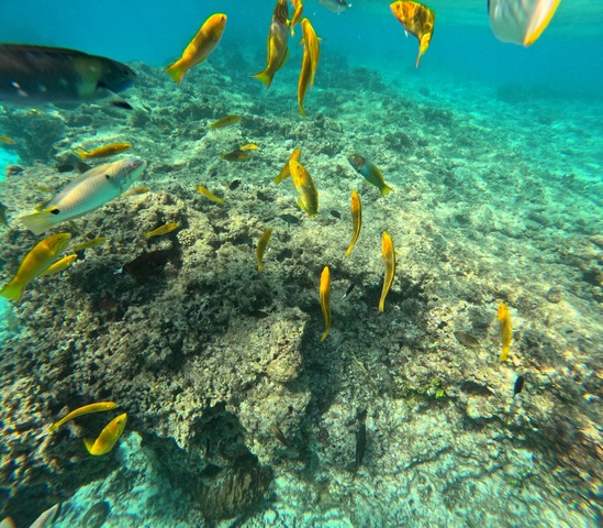 GOPR0317