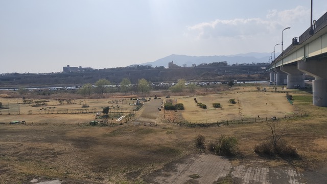 IMG20250323144441