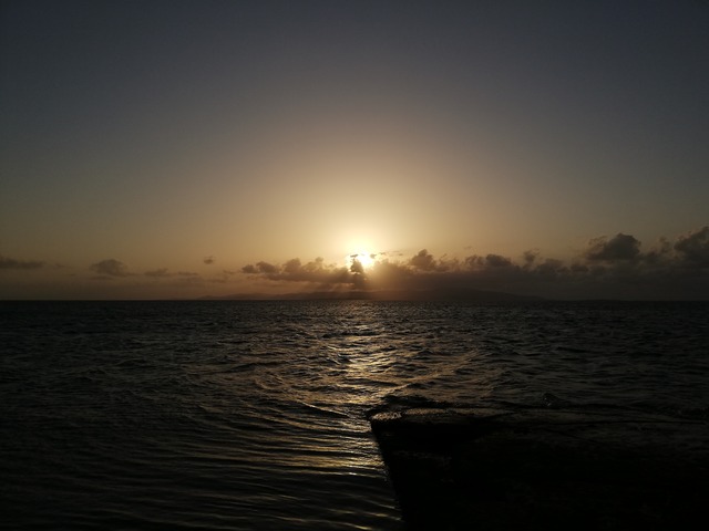 IMG_20210325_183321