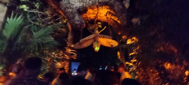 IMG20240216221252