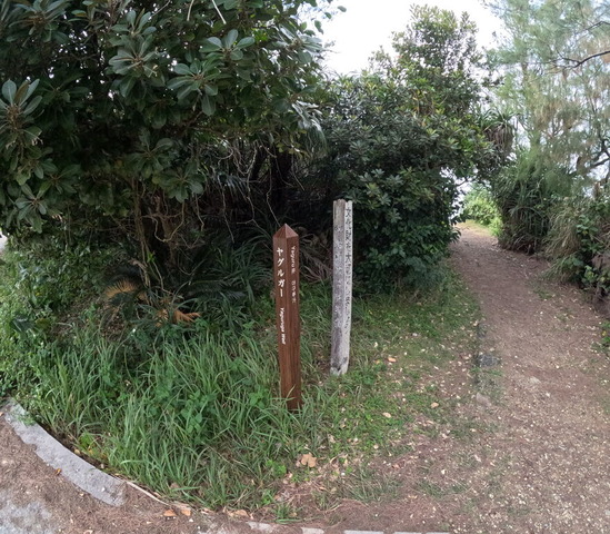 GOPR0649