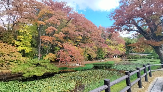 IMG20241103095056