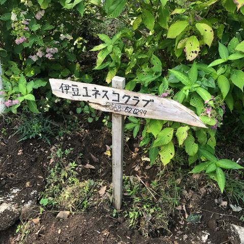 IMG_4640