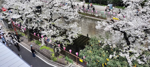 IMG20240407122030_01