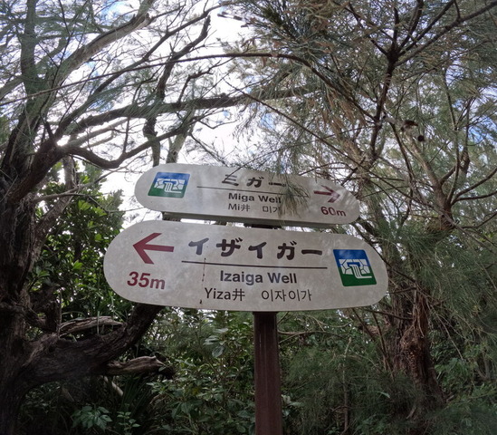 GOPR0645