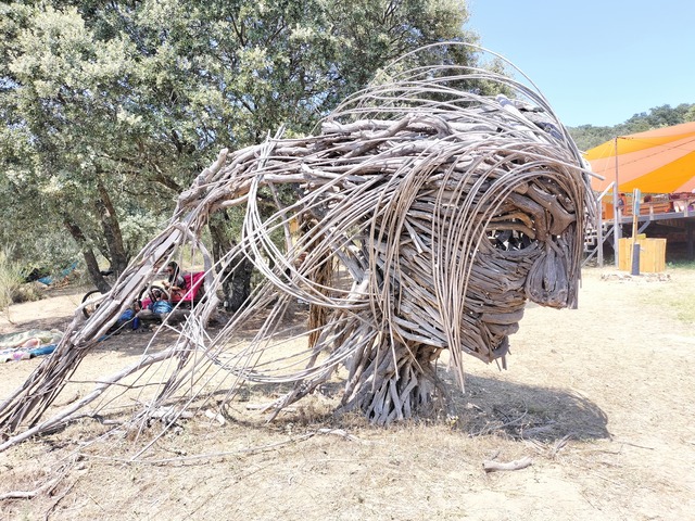 .trashed-1692964653-IMG20230722145716