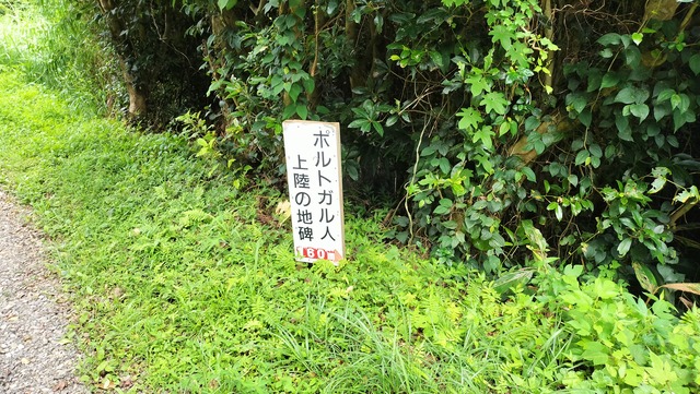 IMG20240630133051