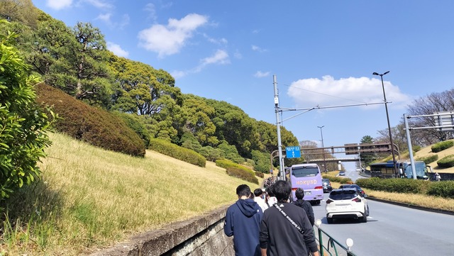IMG20250330141817