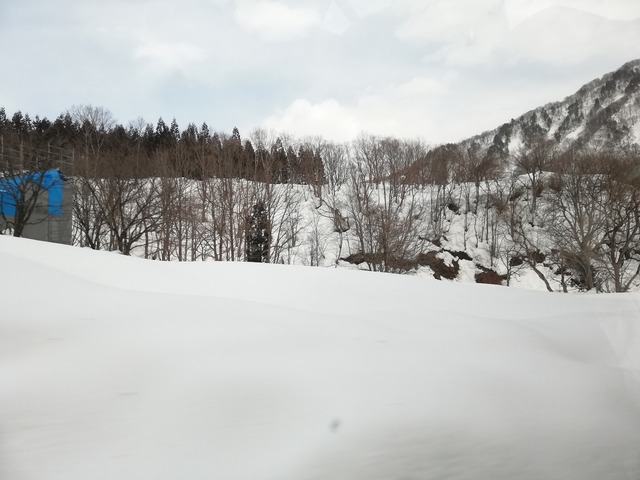 IMG_20220305_142442_1