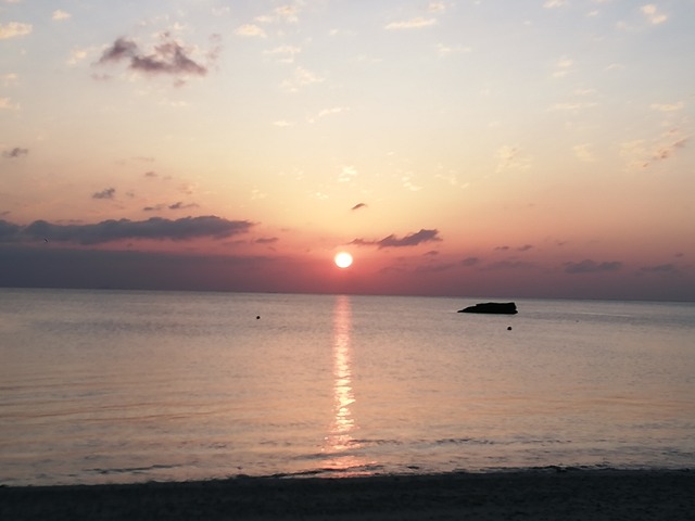 IMG_20220409_183928