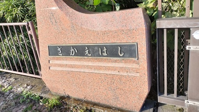 IMG20241117150119