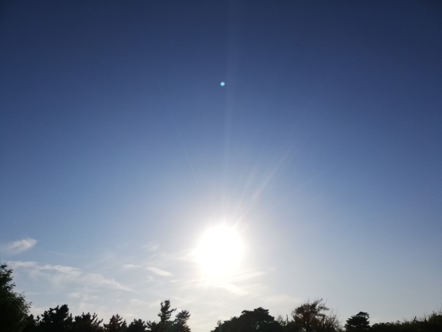 IMG_20211030_150955