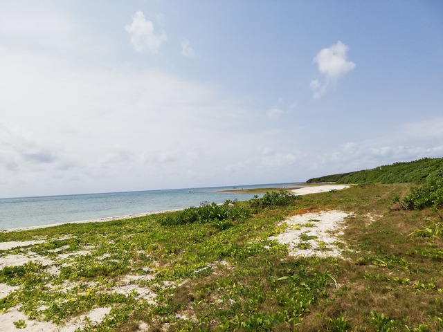 IMG_20210326_111027