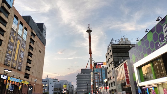 IMG20240811182952