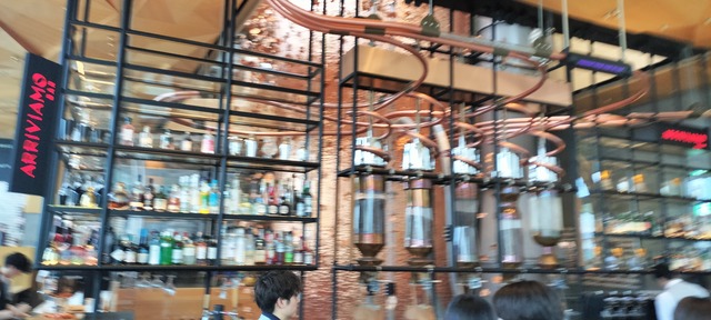 IMG20240406165047_01