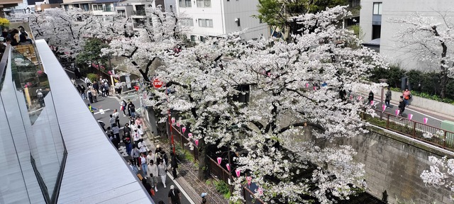 IMG20240407122031_01