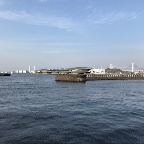 IMG_9557