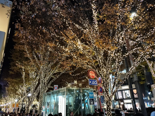 IMG20231202184534