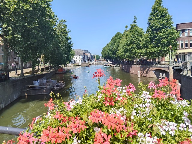 IMG20260711125027