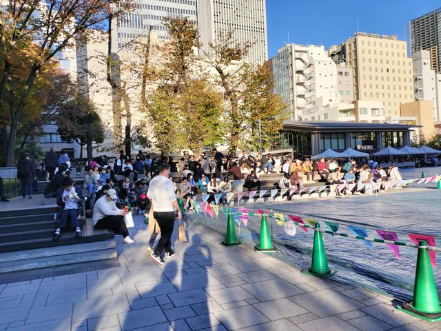 IMG20231119151847_01