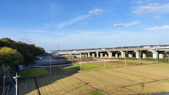 IMG20241117150231