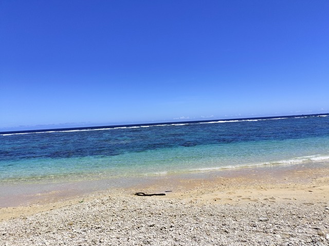IMG20230923123717
