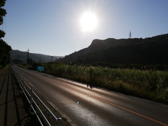 IMG_20201122_084000