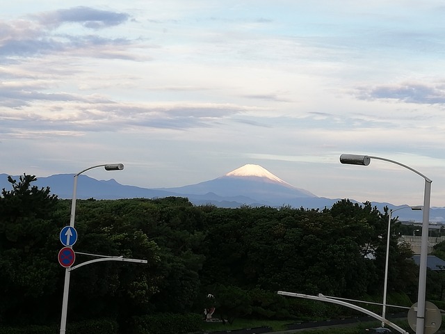 IMG_20201018_062249