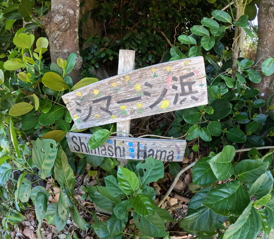 GOPR0628